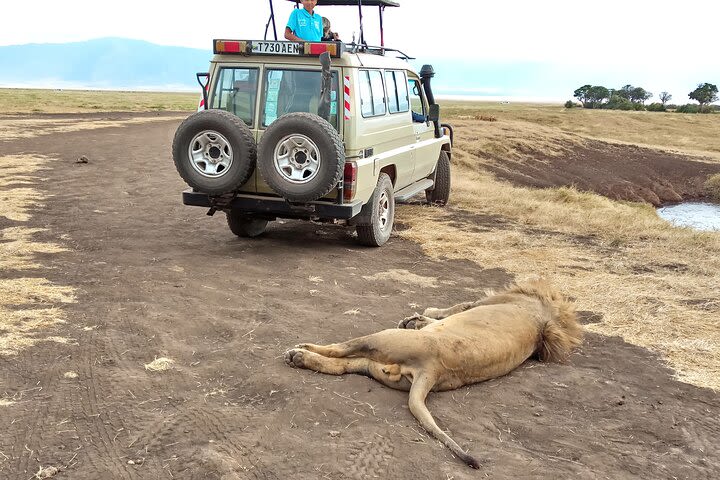 3 Days Exploring Serengeti & Ngorongoro Crater from Arusha image