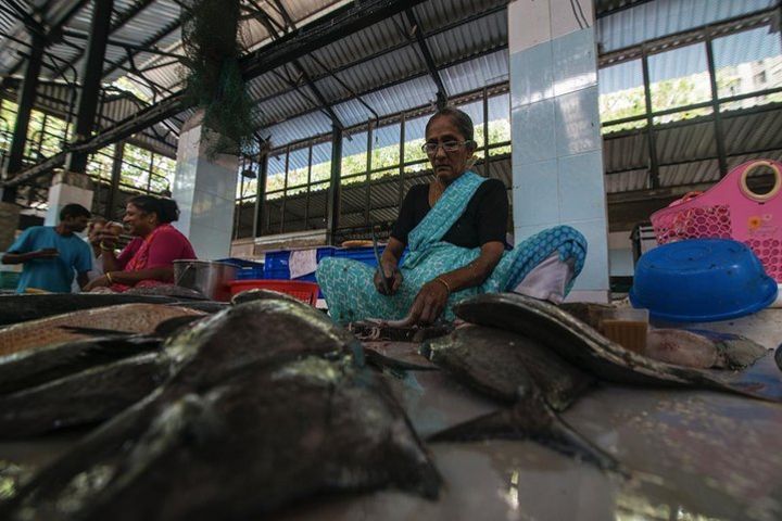 2 Days of Offbeat Mumbai: Spice Market, Worli Fishing Village & Colonial Walk image