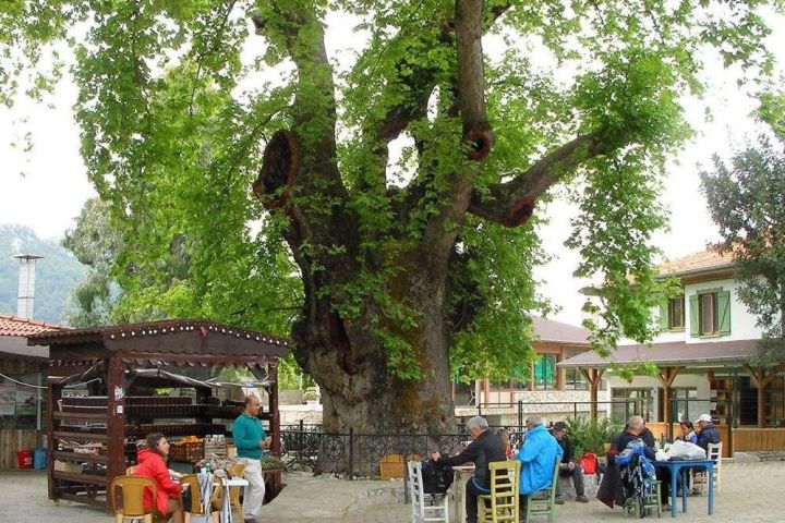 Marmaris Village Waterfalls & Jesus Beach Tour image