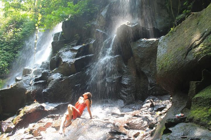 Amazing Day-Tour: The Beauty of Bali Waterfall Trip image