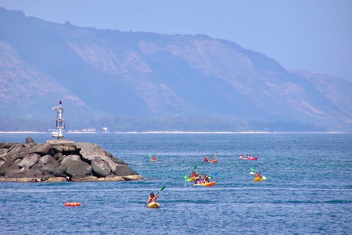 Shuttle from Waikiki to Oahu's North Shore  image