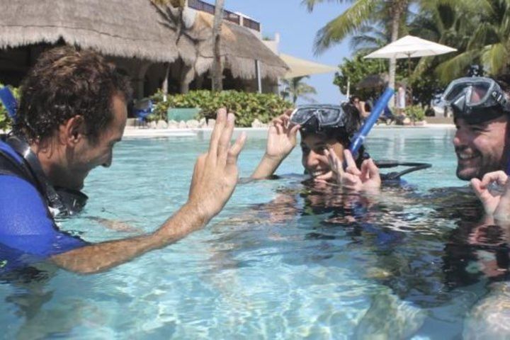 PADI Open Water Diver Course in the Riviera Maya image