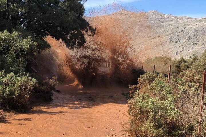 Offroad Wildlife Buggy Drive image