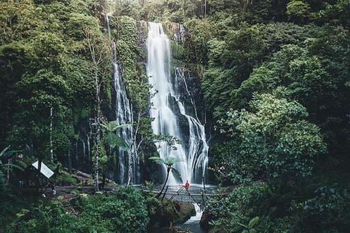 Full-Day Tour : Bedugul Temple, Banyumala Twin Waterfall, Jatiluwih Rice Terrace image