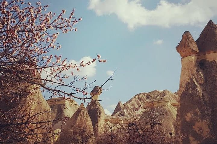 Private, Cappadocia Day Tour - Goreme Open Air Museum image