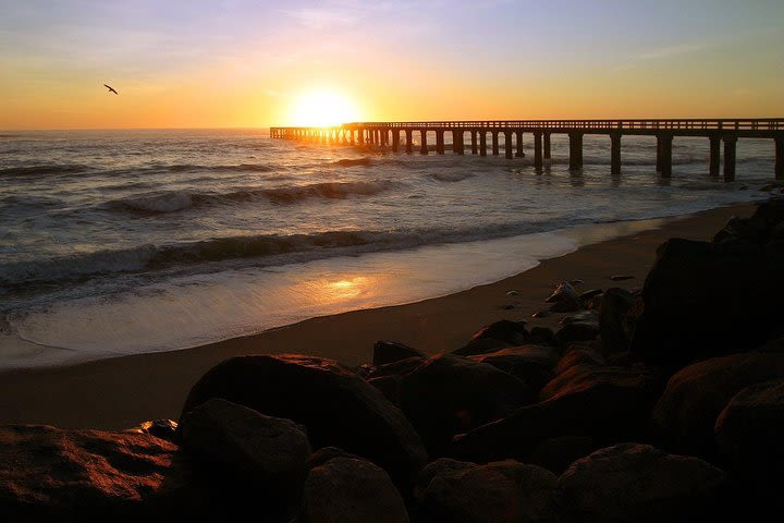 2 day Swakopmund Beach Activity Tour Namibia (Accommodated) image