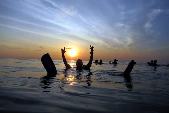 Scuba Diving Kata Beach Night Dive for Certified Divers image