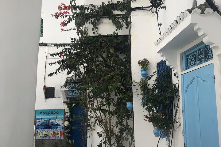 Day trip to Asilah  image