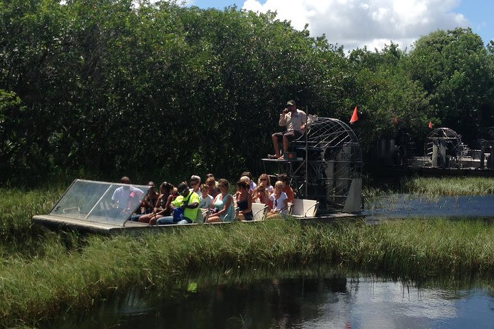 3 - 4 hours Everglades Tour from Miami image