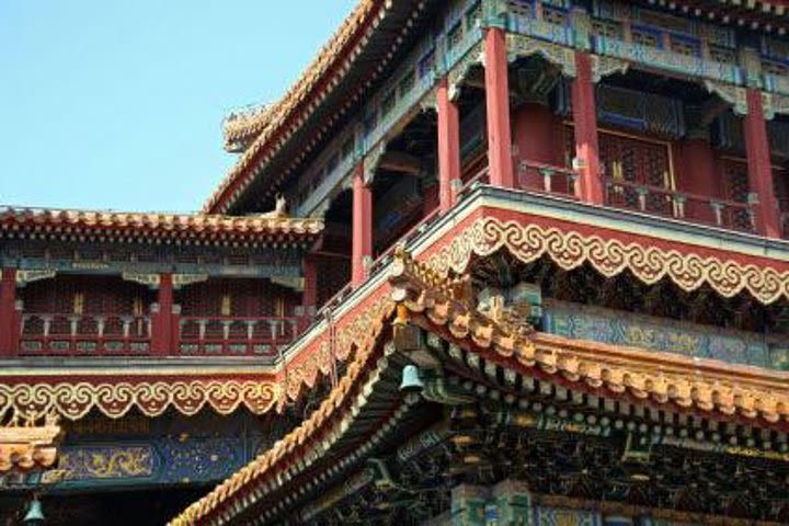 Beijing Lama Temple, Panda Garden and Ancient Altar Private One Day Tour image