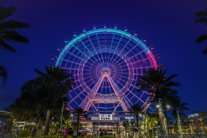 The Wheel at ICON Park image