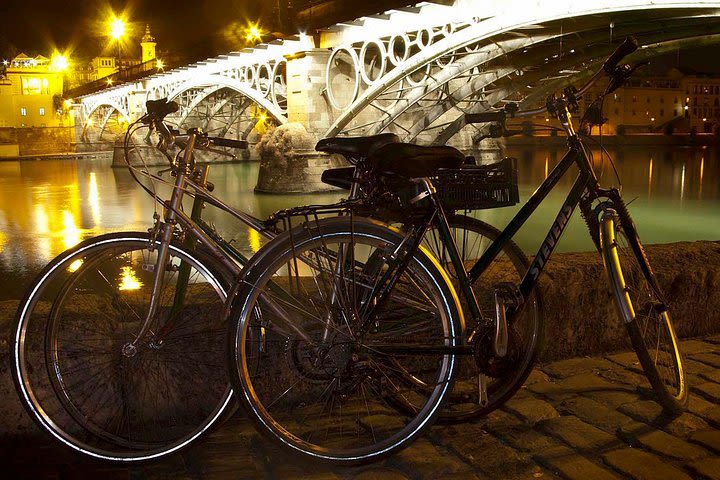Highlights Bike Tour in Seville image