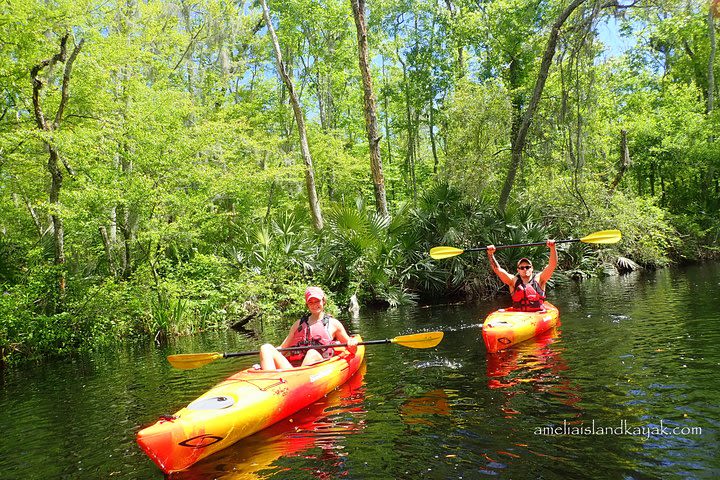 Guided Family Friendly Kayak Tour: Experience Old Florida  image