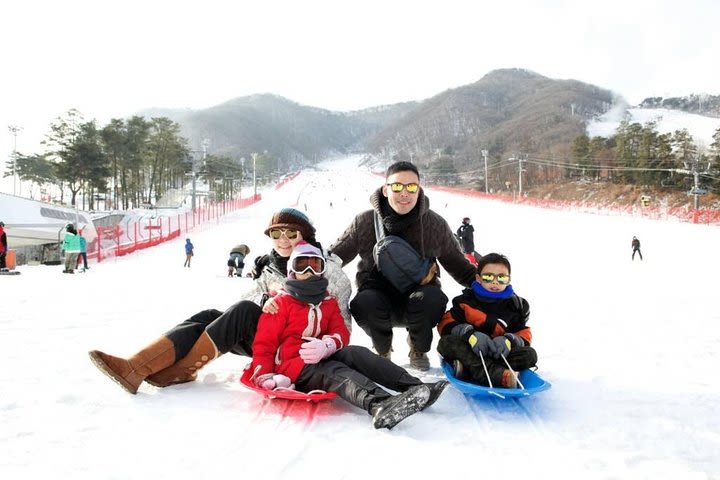 Seoul Ski Tour at Jisan Forest Resort image