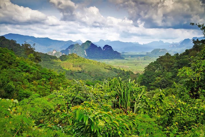 From Khao Lak to Khao Sok : Sok River with local paddle guide : Half Day Tour image