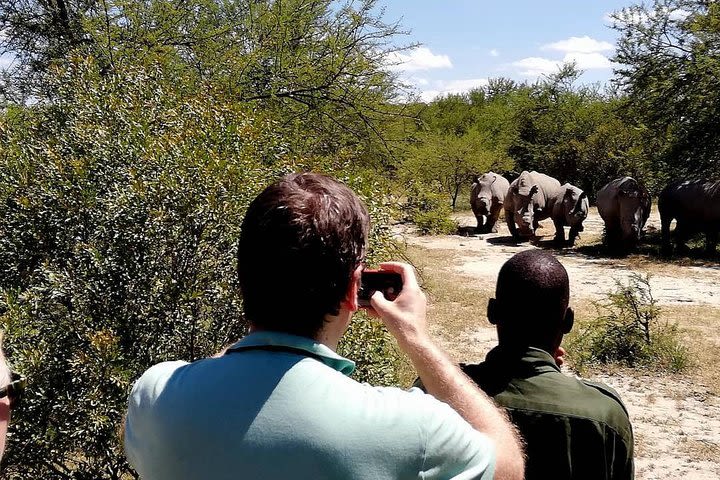 2 Nights Matobo National Park Mobile Camping Safari  image