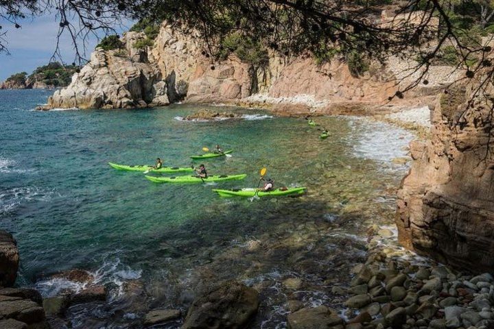 3-hour guided kayak + snorkel tour image