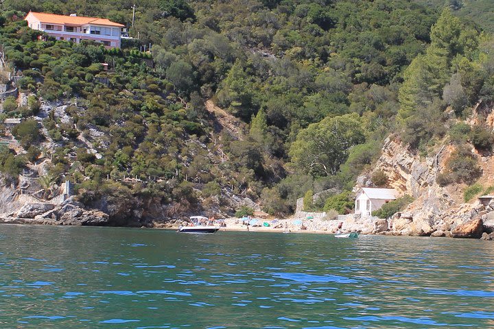 Arrábida Sightseeing by Boat image