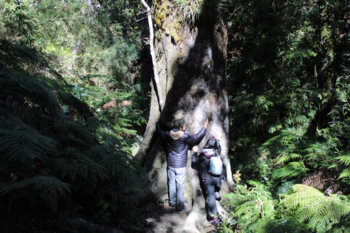 Tour: Vive la Experiencia del Parque Oncol image