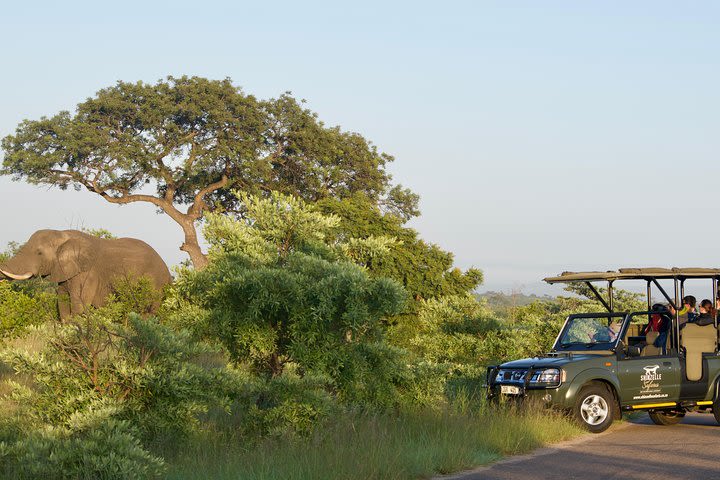 3-Day Kruger National Park Safari including Breakfast and Dinner image