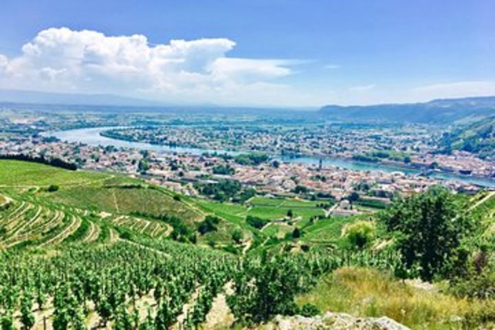 Northern Rhône Valley Customizable Private Day Tour with Wine Tasting from Lyon image