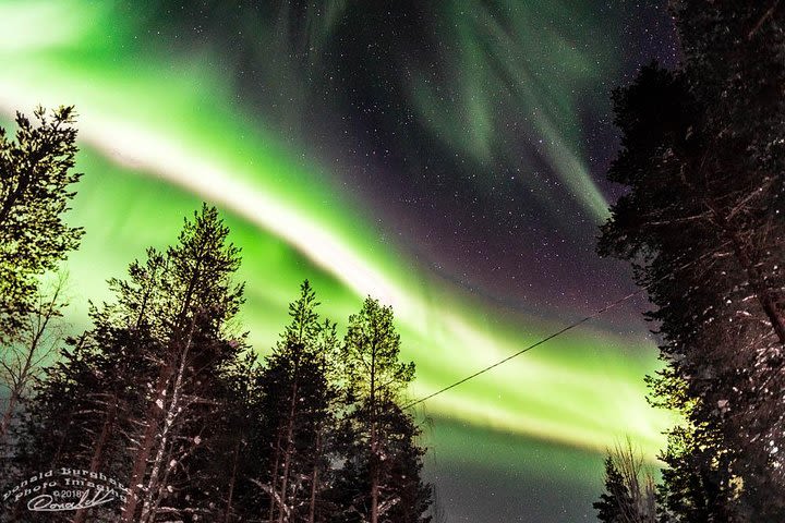 Auroras- Northern Lights Tours by Aurora Experts- Rovaniemi image