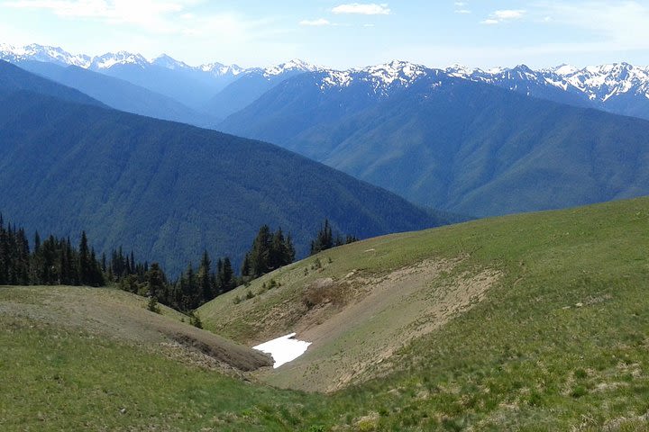 Hurricane Ridge Olympic National Park from Seattle image