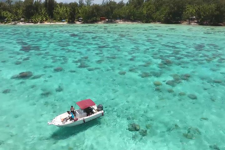 Private Bora Bora Lagoon Experience image