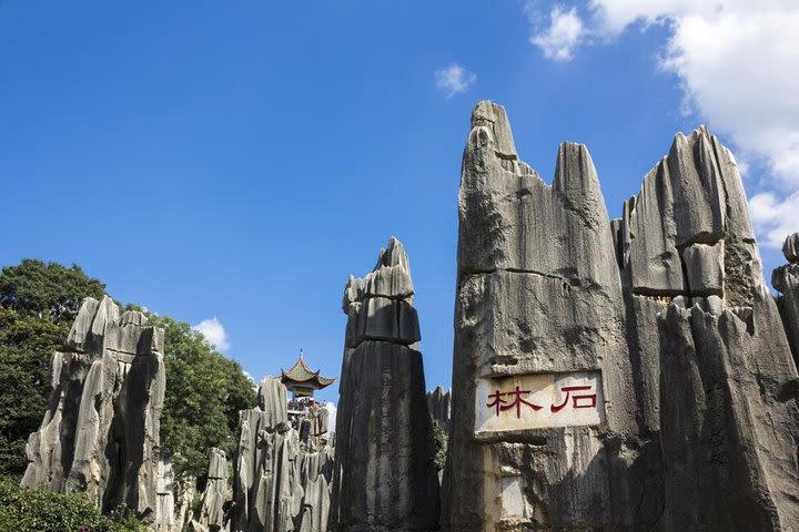 1-Day Private Tour:Stone Forest and Western Hill(Dragon Gate) from Kunming image