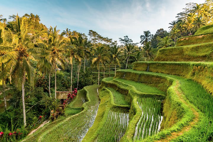 Custom Day Trip in Bali image