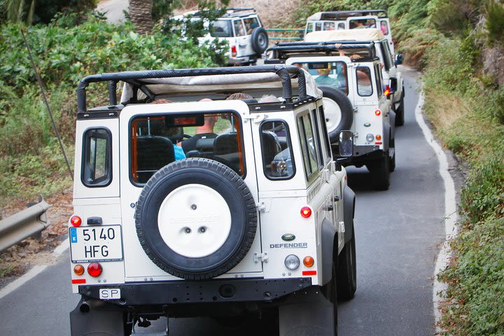 La Gomera Jeep Safari Tour from Tenerife image