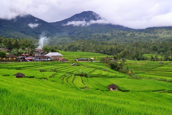 Beauty Of West Bali Tour image