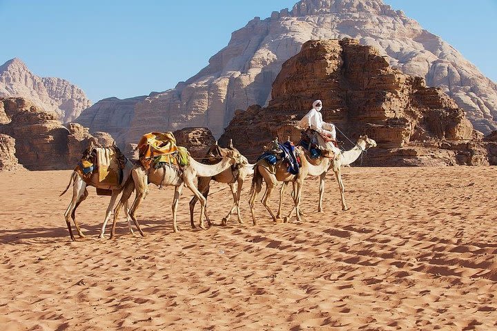 Jordan Horizons Tours: Petra and Wadi Rum Day Trip from Amman image