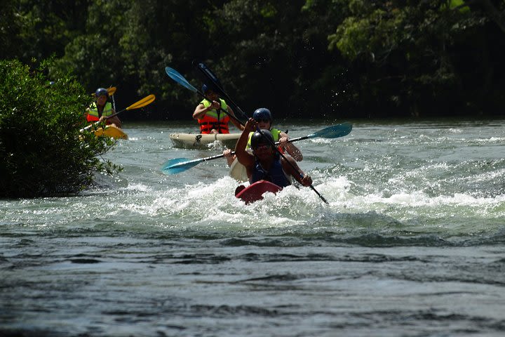 Private River Kayaking & Picnic From San Ignacio image