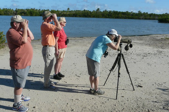 St Maarten Bird-Watching Tour image