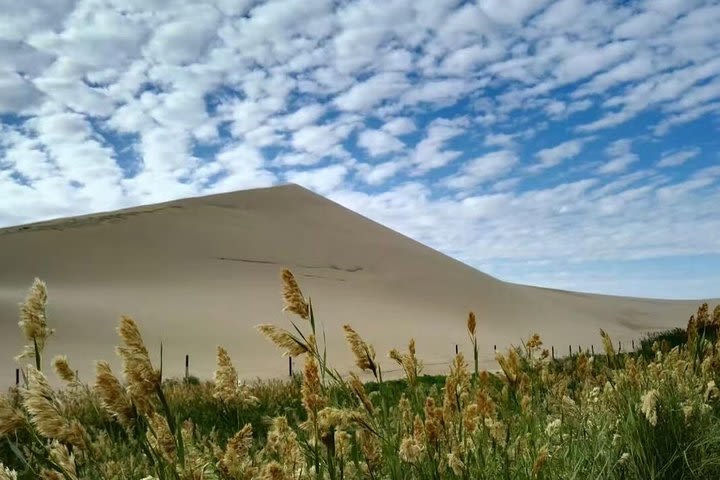 6-Night Private Silk Road Trip from Urumqi to Dunhuang and Jiayuguan with Accommodations image