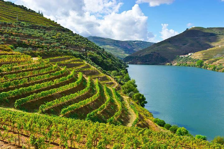 Douro Valley full-day private tour from Porto image