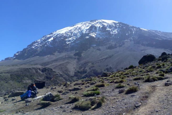Kilimanjaro Rongai Route 5 Days Trekking image