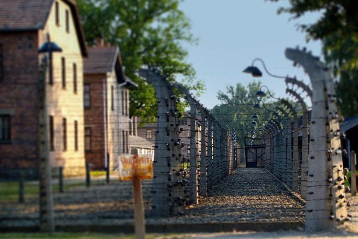 Auschwitz-Birkenau Guided Tour image