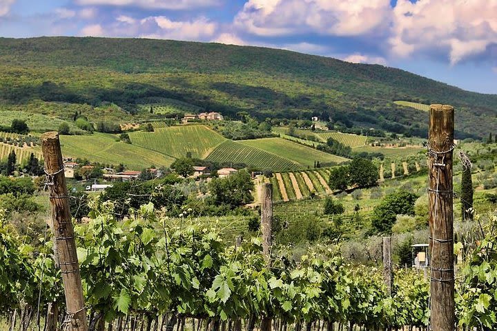 Chianti: eno-excursion through the vineyards image