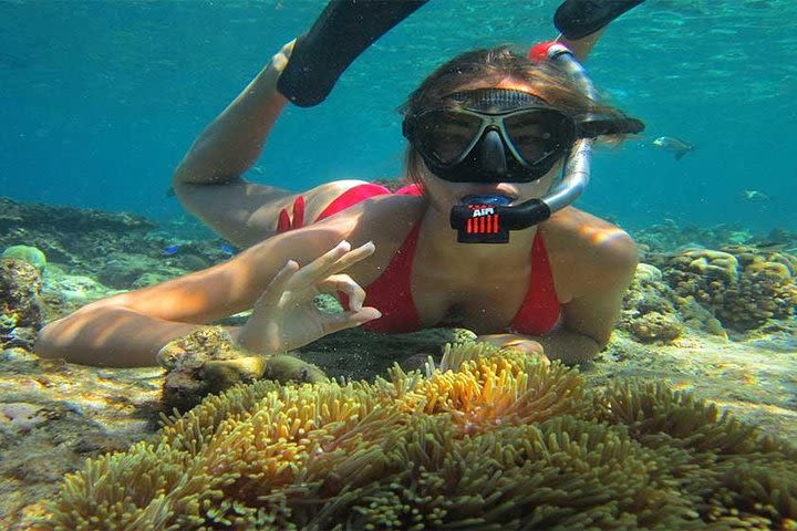 Bali Snorkeling Activities at Blue Lagoon Beach-All Inclusive image