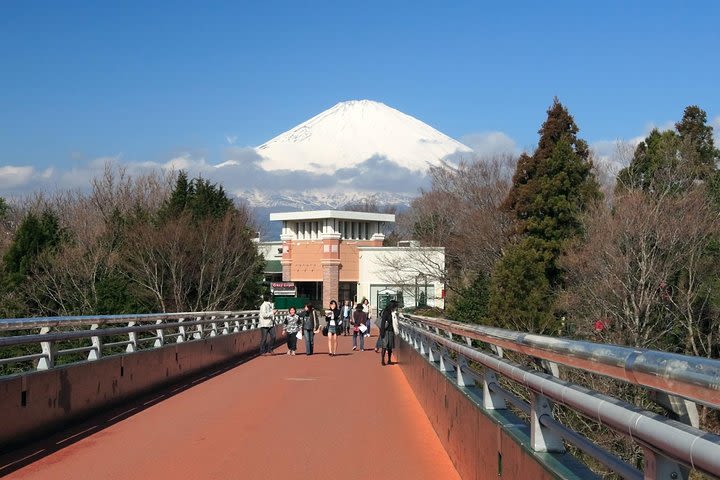 Full Day Mt Fuji Lake Kawaguchiko Tour and shopping at Gotemba Premium Outlet image