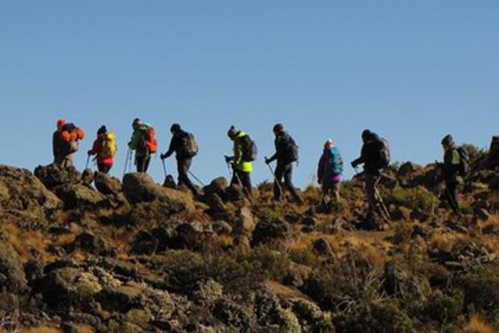 5 Days Mount Kilimanjaro Climb - Marangu Route image
