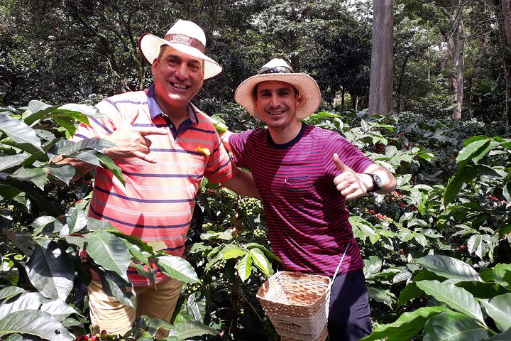 Coffee & flowers: Coffee Experience in Bogotá, Colombia image