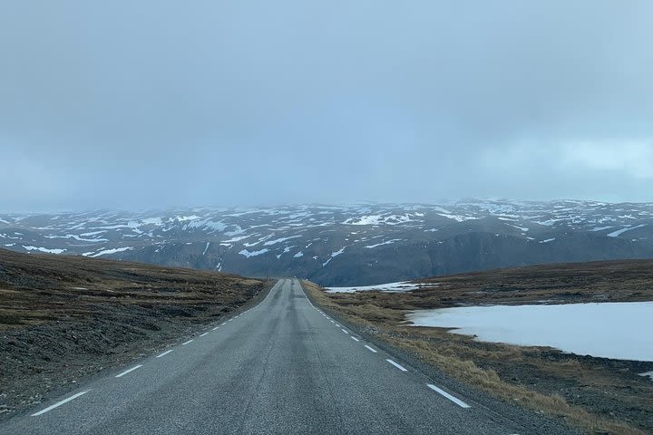 Day trip to Nordkapp from Rovaniemi image