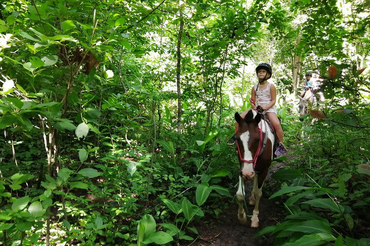 Jungle and Mountain Adventure image