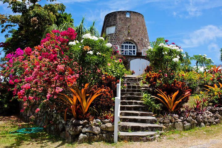 Nevis Full-Day Island Tour from St Kitts (Reconfirm 48 hours) image