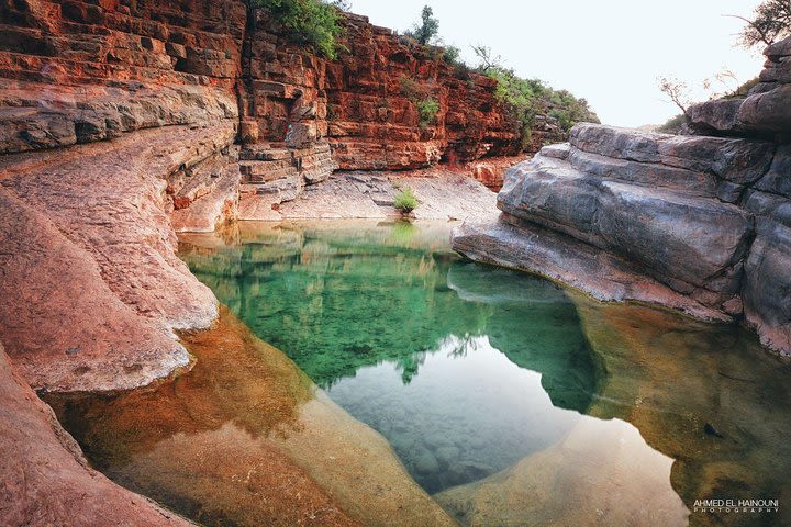 Visit of the Paradise Valley Agadir image