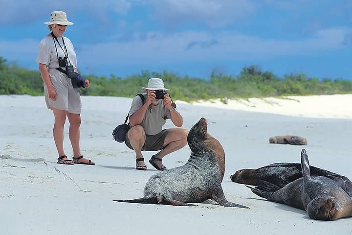 5 Days Galapagos Tour: Santa Cruz and Isabela Islands image