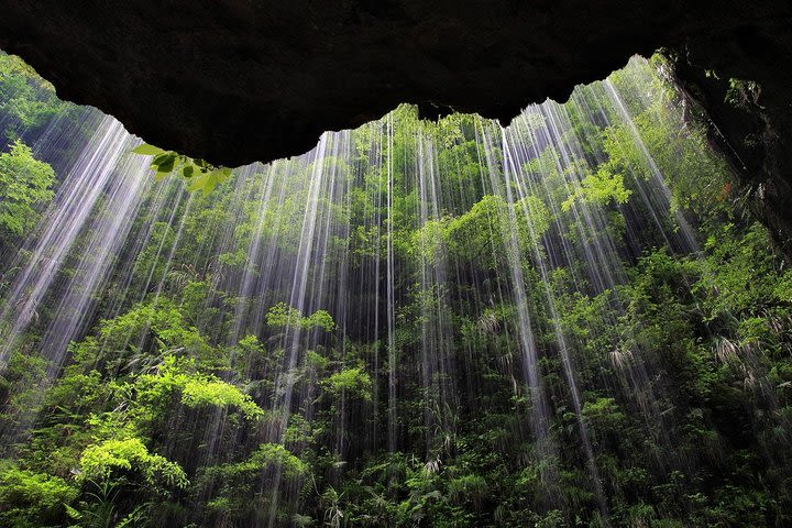 Private Day Tour to Zhangjiajie Grand Canyon, Glass Bridge, Yellow Dragon Cave image